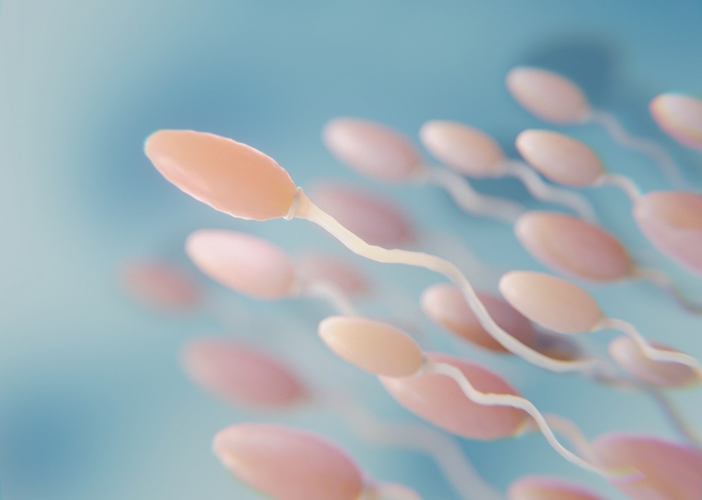 What is DFI’s role in infertility