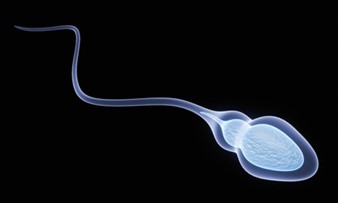 IVF with Tesa for male infertility 