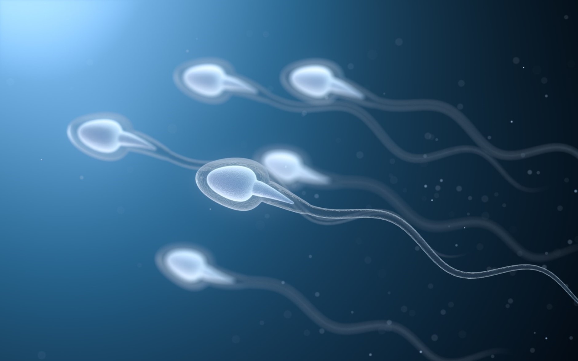 When is sperm freezing and what advice