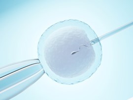 In Vitro Fertilization (IVF): A Promising Solution for Infertility