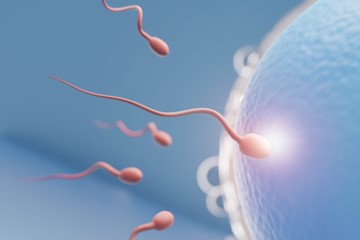 Successful Pregnancy with ERA: A Breakthrough in IVF Treatment