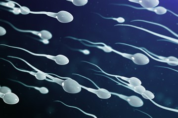 Esha Ivf - Best IVF Fertility Specialist Center - Hyderabad - Sperm