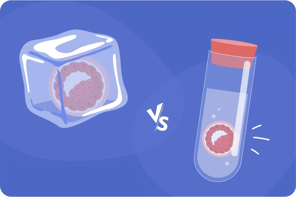 Fresh vs. Frozen Embryo Transfers: Where LAH Might Actually Work