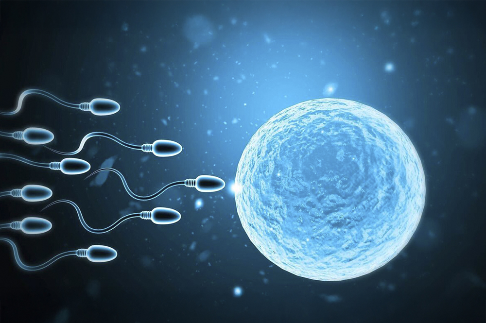 How to Increase Male Fertility Naturally – 5 Easy Steps